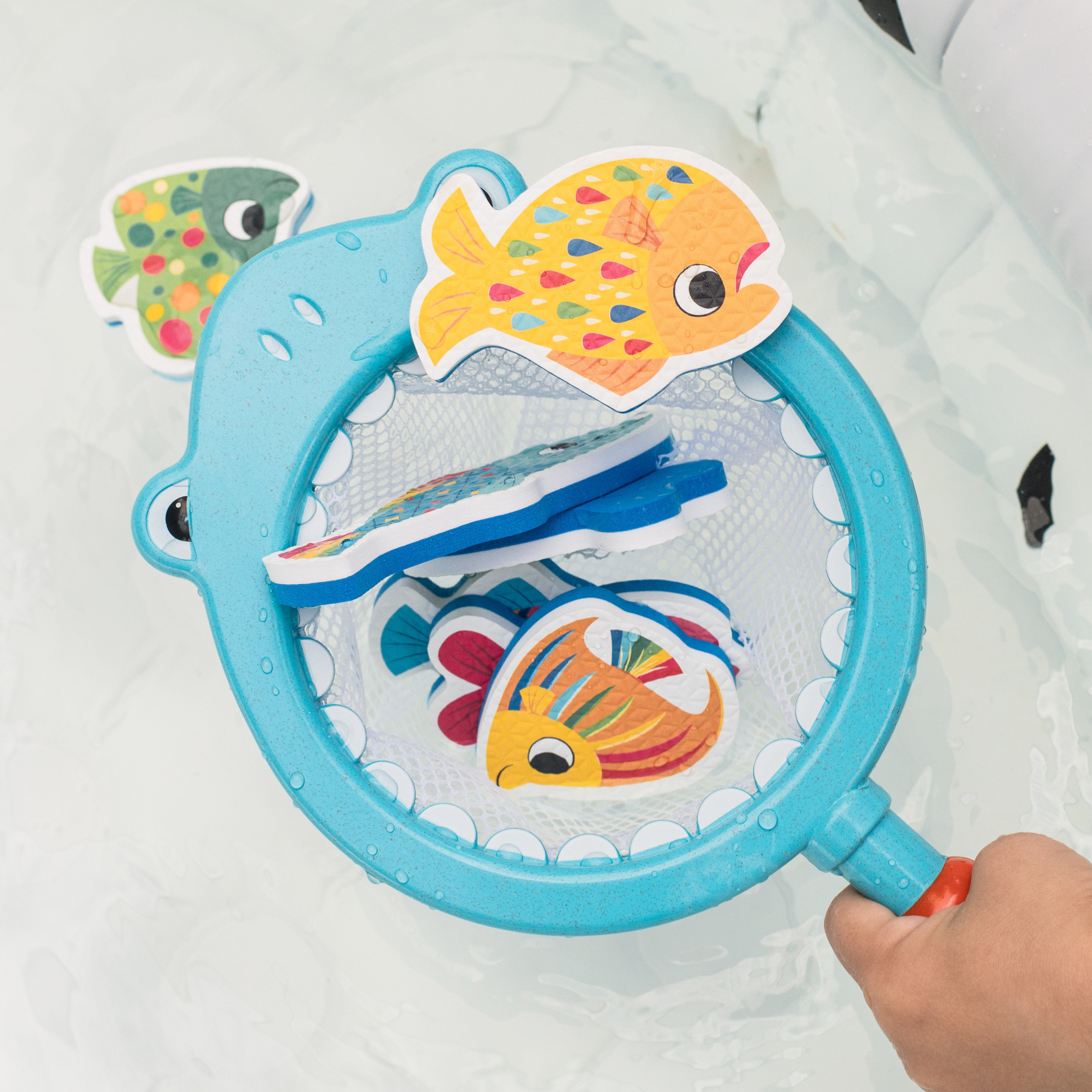 Shark Chasey - Catch a Fish