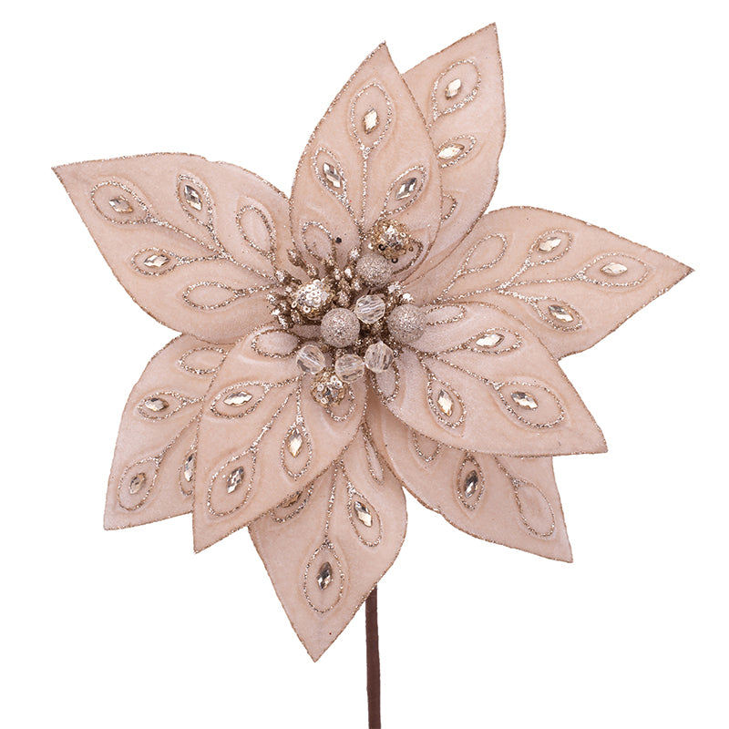 CHAMPAGNE JEWELLED POINSETTIA