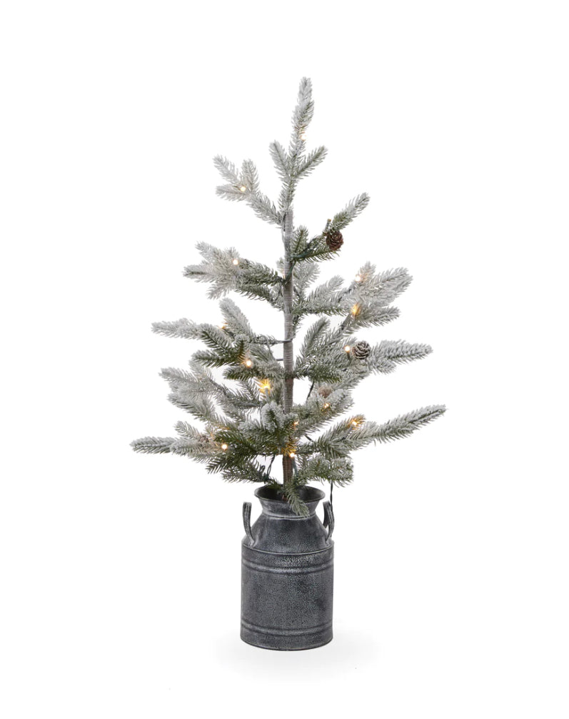 Potted Winter Spruce  ( 2.5FT - 20 LED) image 0