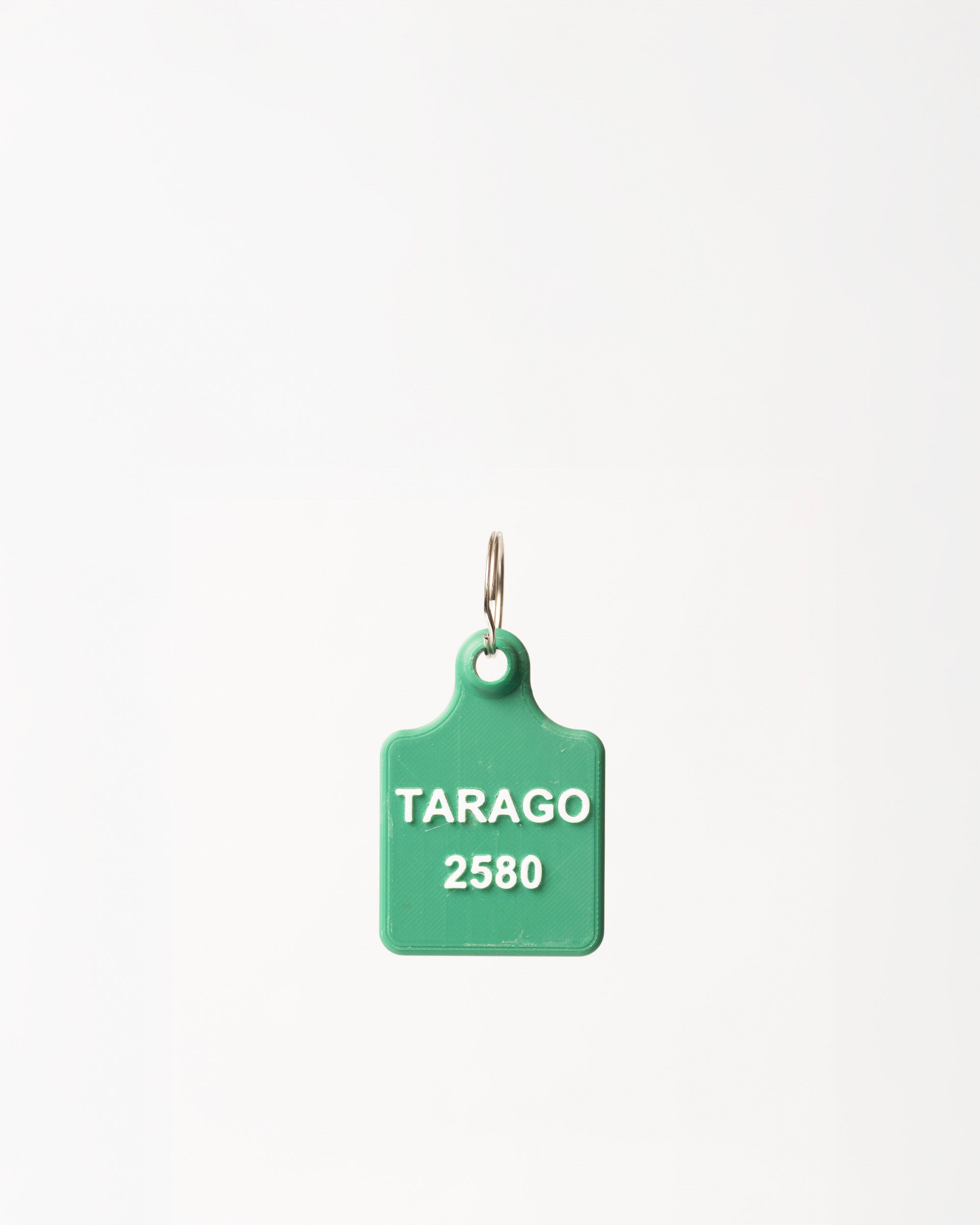 Tarago Keyring