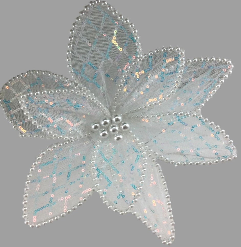 White Poinsettia