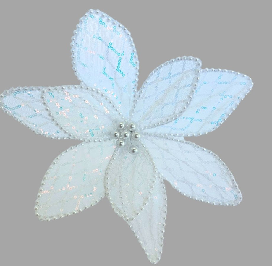 White Poinsettia